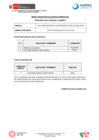 Vista preliminar de documento Curriculares- CAS N° 028-2024