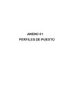 Vista preliminar de documento Anexo 01 Perfiles de Puesto