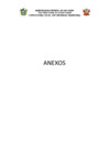 Vista preliminar de documento ANEXOS CAS 20242-2