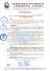 Vista preliminar de documento RESOLUCION DE ALCALDIA Nº 472