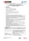 Vista preliminar de documento CAS N°034-2024
