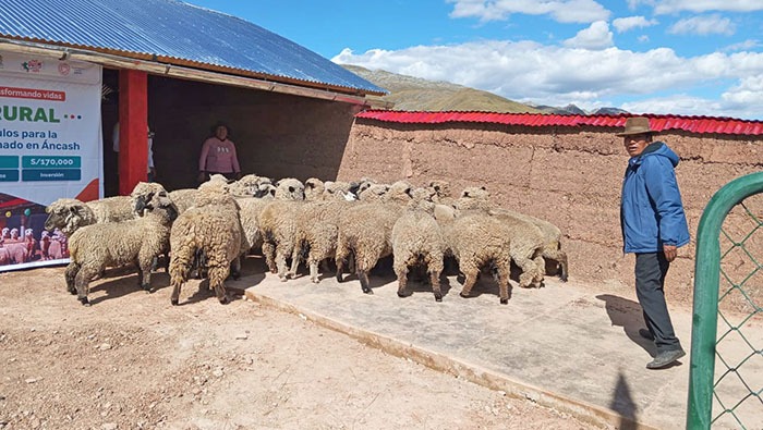 AGRO RURAL