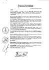 Vista preliminar de documento Resolución de Dirección Ejecutiva N° 243-2018-PATPAL-FBB-MML