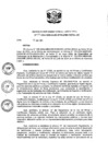 Vista preliminar de documento RDE Nº 141-2024