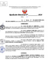 Vista preliminar de documento Resolucion Directoral N° 003919-2024
