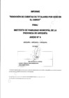 Vista preliminar de documento Informe de Redición de cuentas de titulares por cese en el cargo Instituto de viabilidad Municipal de la Provincia de Arequipa