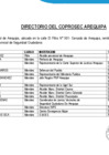 Vista preliminar de documento COPROSEC - Directorio 2023