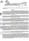 Vista preliminar de documento Resolucion Directoral N° 003923-2024