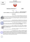 Vista preliminar de documento Resolucion Directoral N° 003924-2024