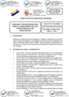 Vista preliminar de documento 01 2024-06-18 Directiva N° DGG-07-GG-2024