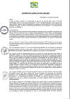 Vista preliminar de documento AC-2024-050