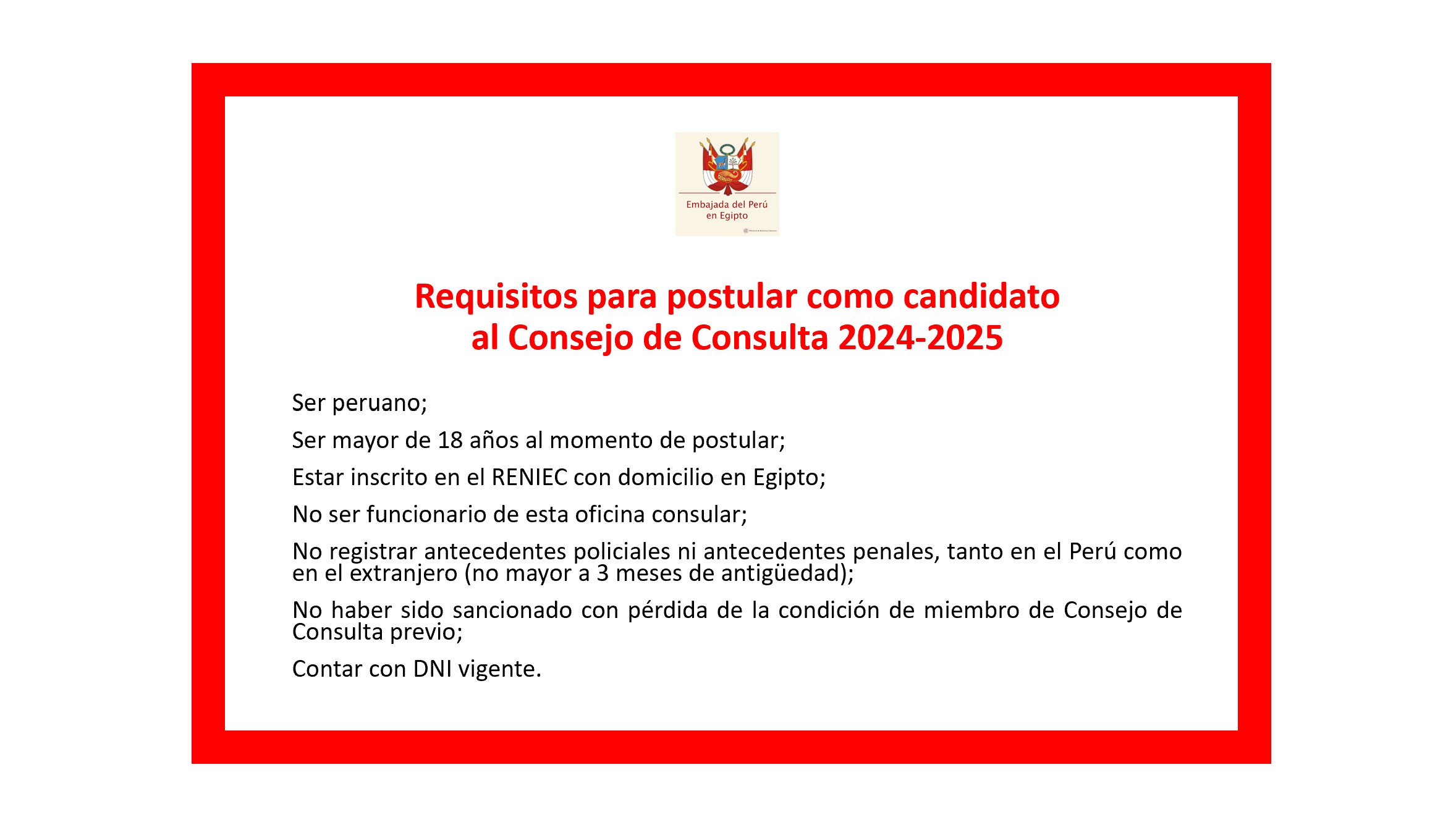 ELECCIONES CONSEJO CONSULTA 2024-2025