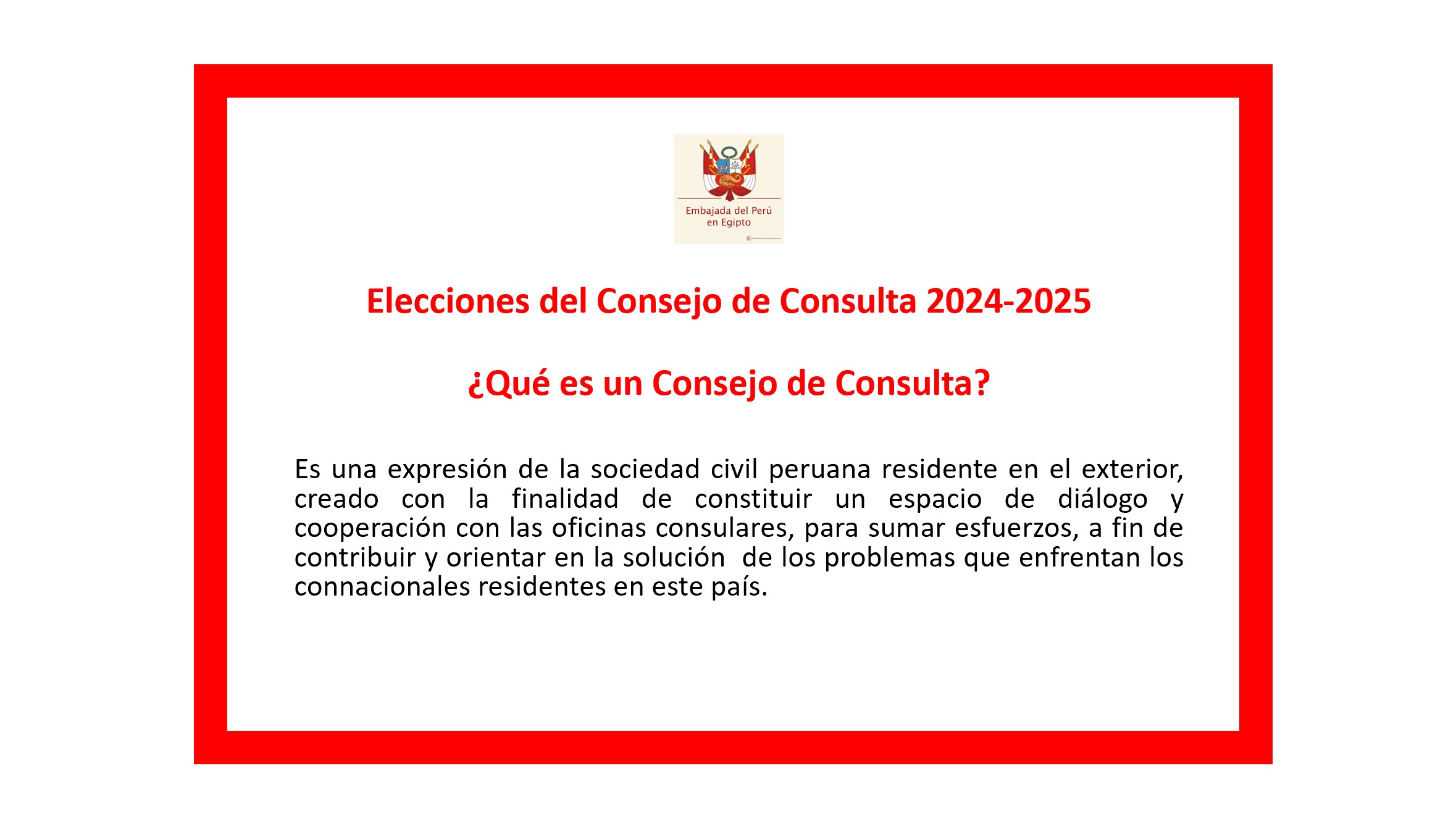 ELECCIONES CONSEJO CONSULTA 2024-2025