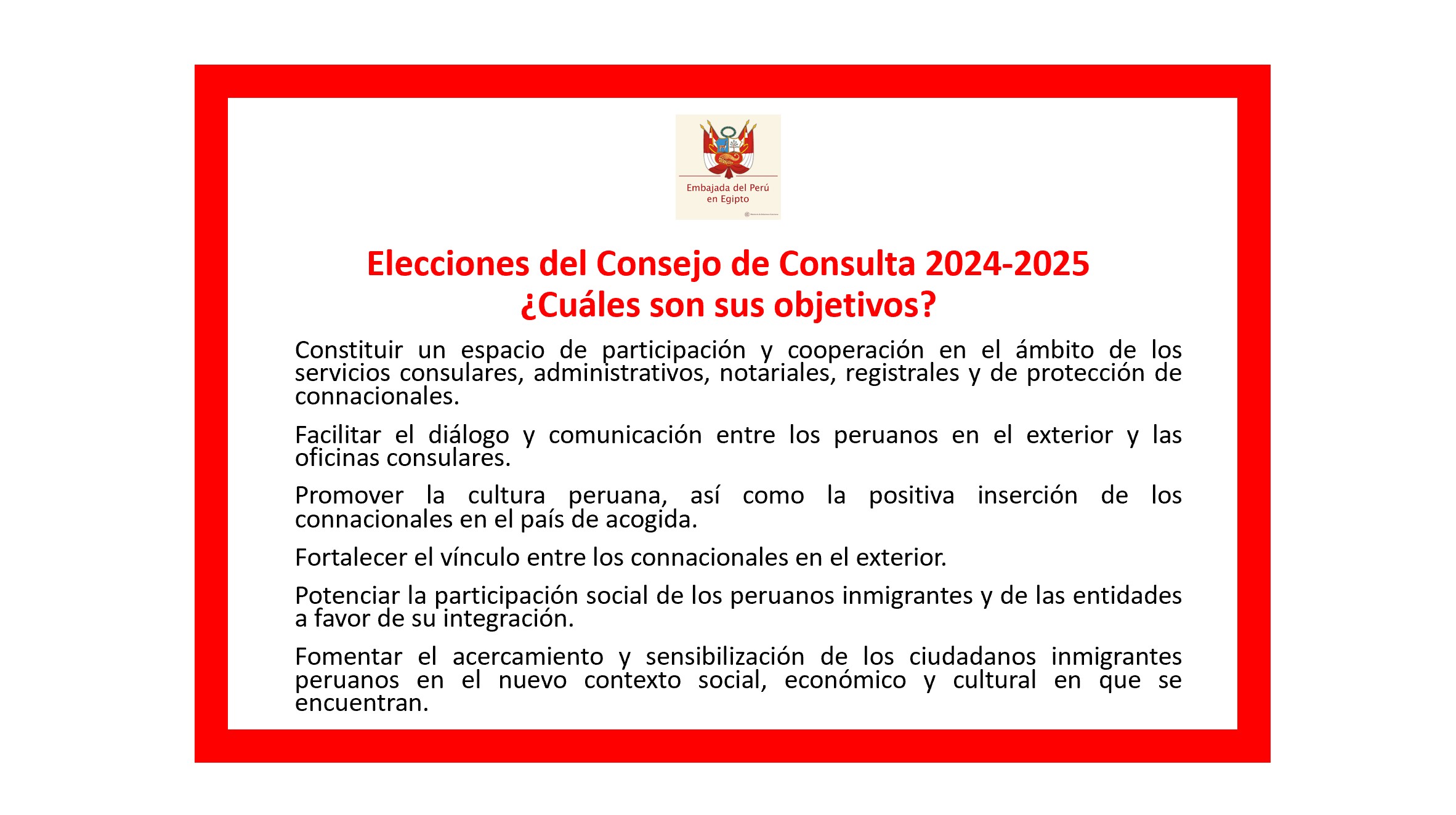 ELECCIONES CONSEJO CONSULTA 2024-2025