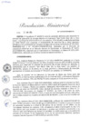 Vista preliminar de documento RM-259-2024-MINEM-DM