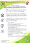 Vista preliminar de documento DIRECTIVA Nº 002-2024