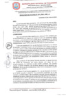 Vista preliminar de documento RESOLUCION N°155