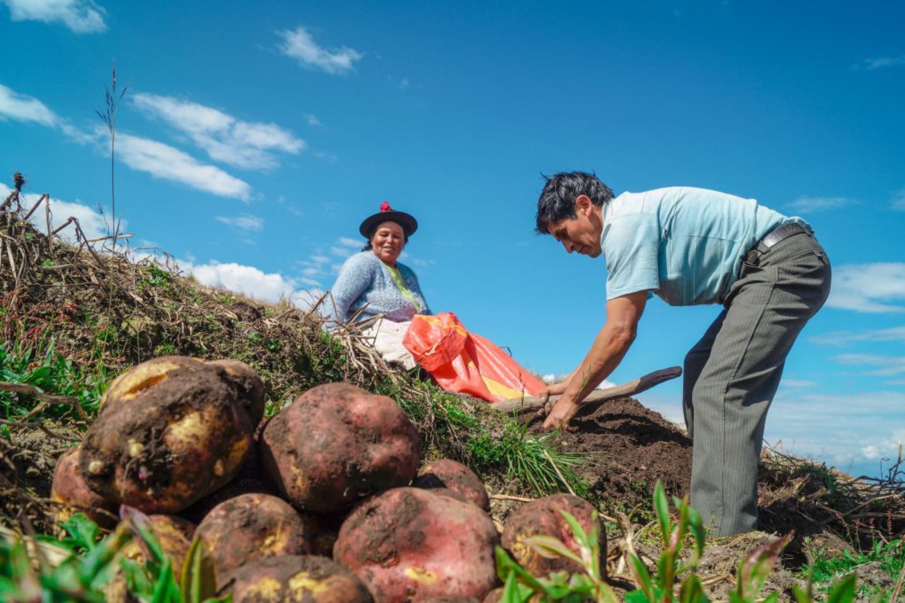 24 de Junio Día del Campesino