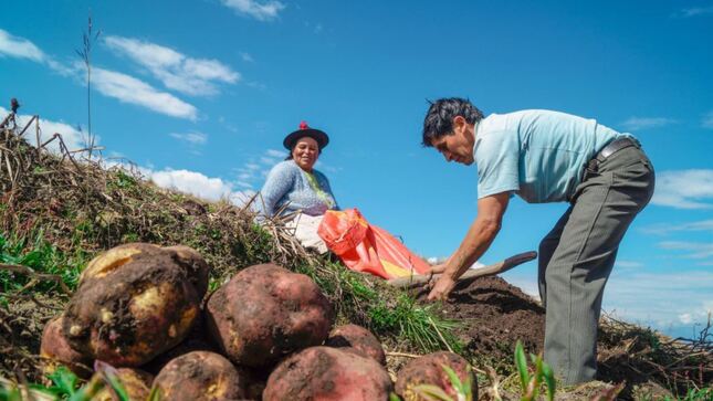24 de Junio Día del Campesino