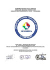 Vista preliminar de documento BASES - CONVOCATORIA CAS NRO 012 - 2024-UGEL CAJABAMBA