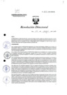 Vista preliminar de documento R.D. 807-2023