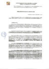 Vista preliminar de documento RDE-217-2024