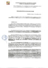 Vista preliminar de documento RDE-218-2024