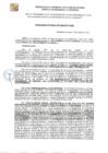 Vista preliminar de documento RDE-228-2024