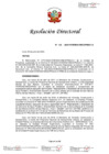 Vista preliminar de documento RD 132-2024