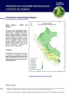 Vista preliminar de documento quinua_monitoreo_2jun24