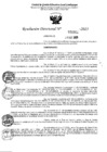 Vista preliminar de documento 5504