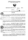 Vista preliminar de documento 5515