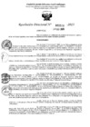 Vista preliminar de documento 5520