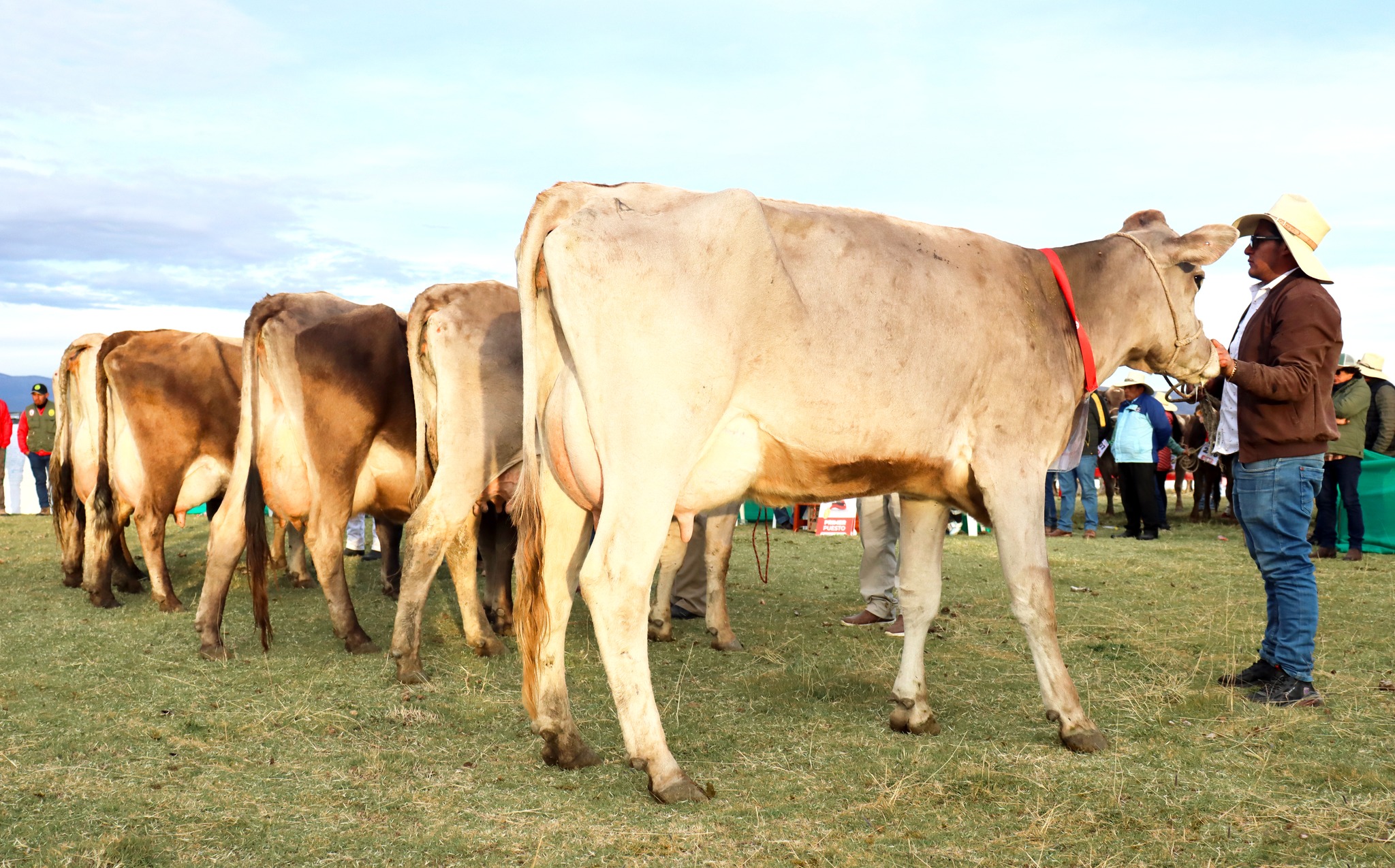 Vuelve la II Expo Feria Ganadera Tarco – Pullo 2024