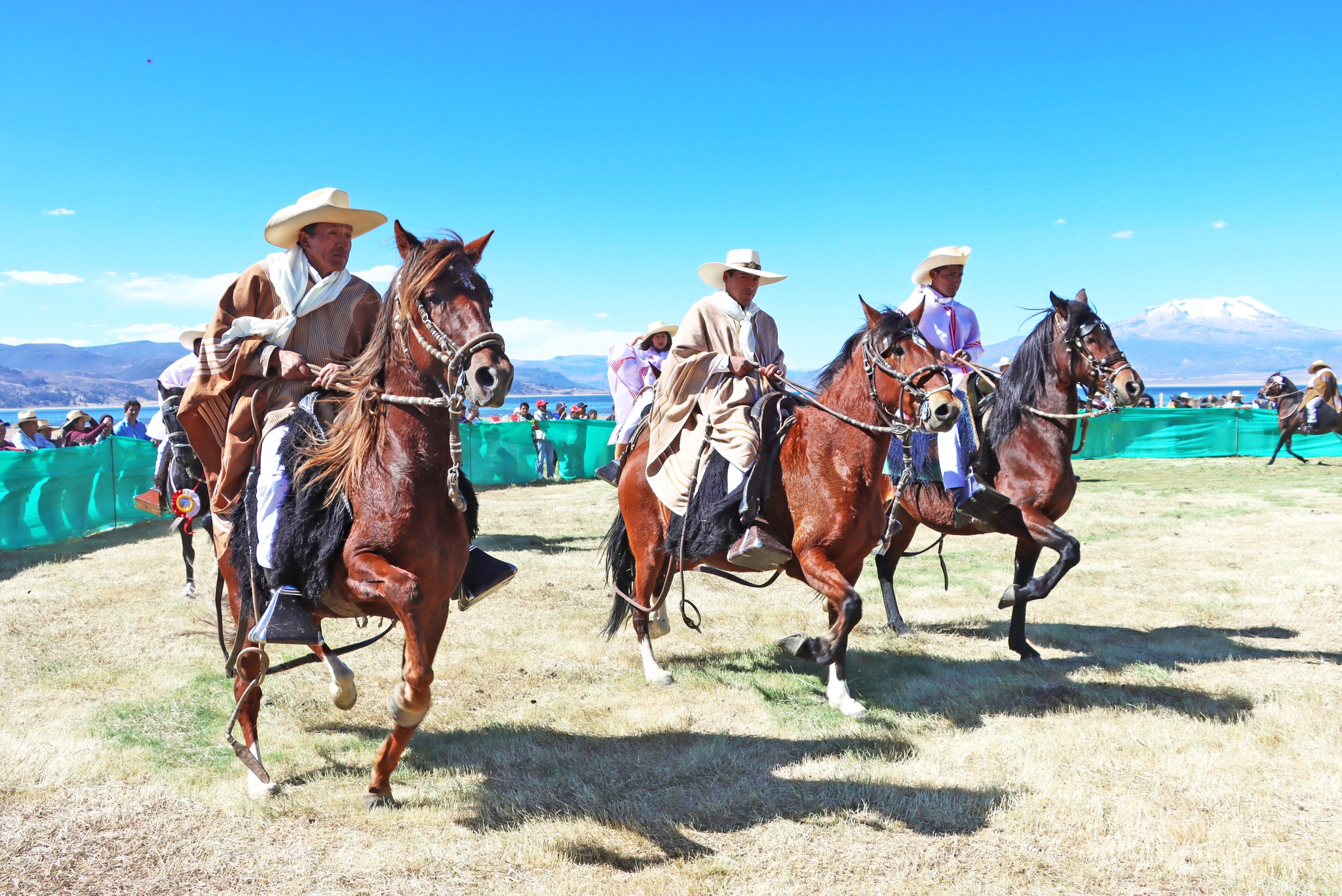 Vuelve la II Expo Feria Ganadera Tarco – Pullo 2024