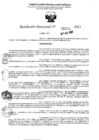 Vista preliminar de documento 5531