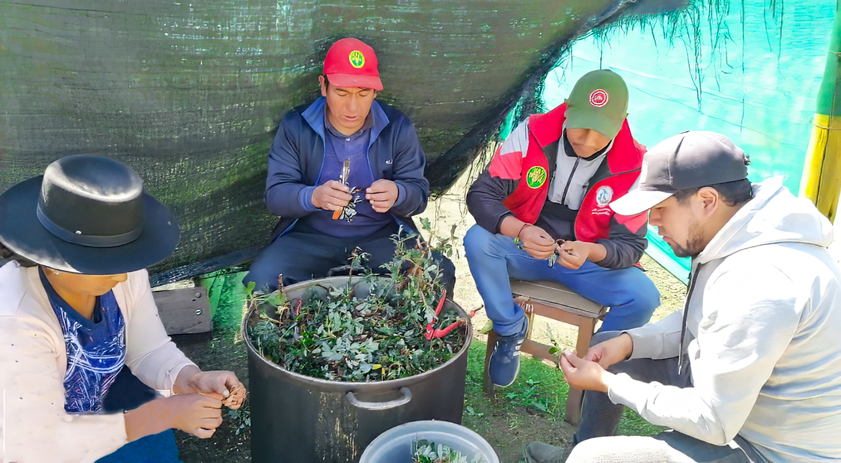 Inician acciones para la producción de 20 mil plantones forestales en Vilcanchos