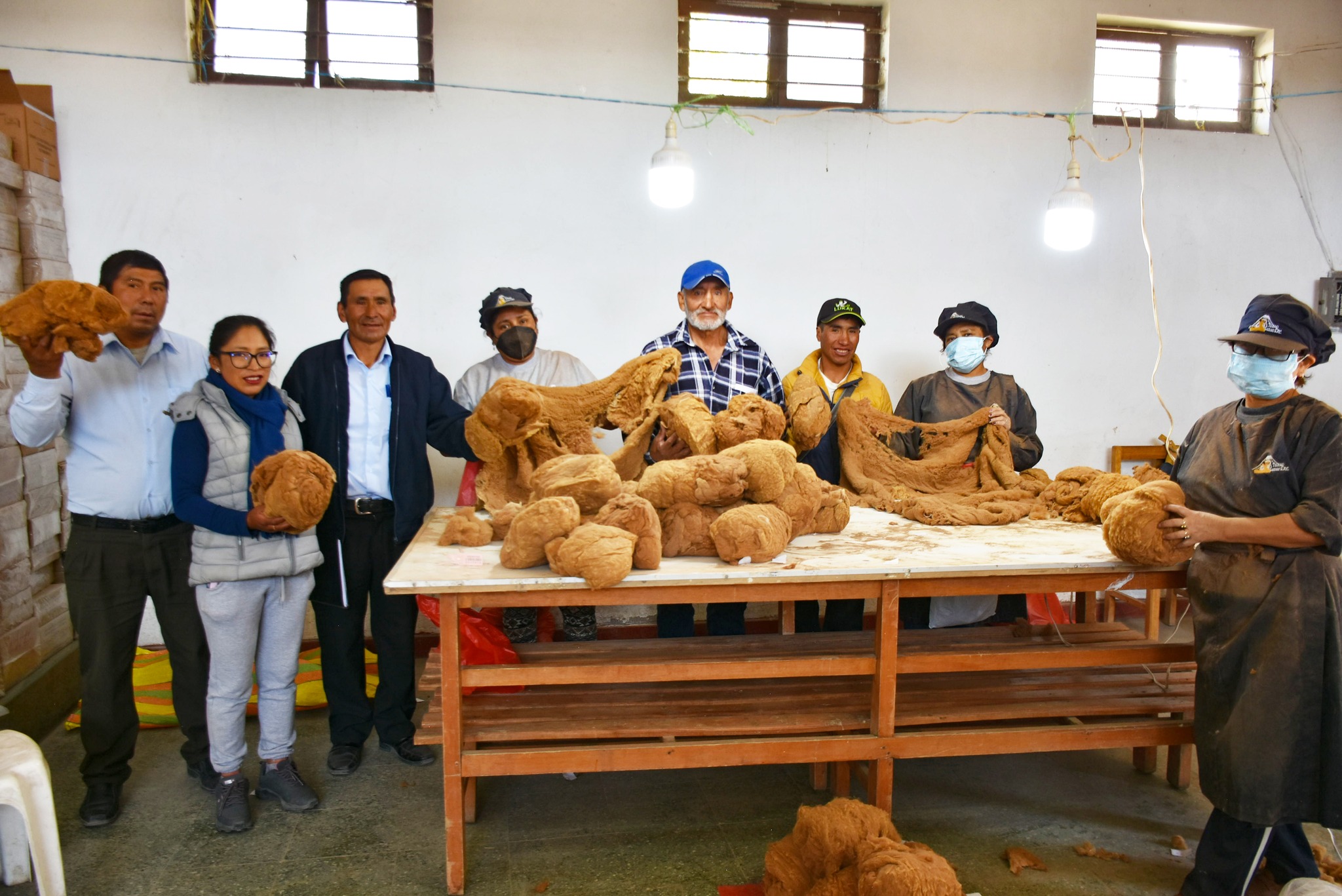 Ayacucho desarrollará 140 chaccus este 2024