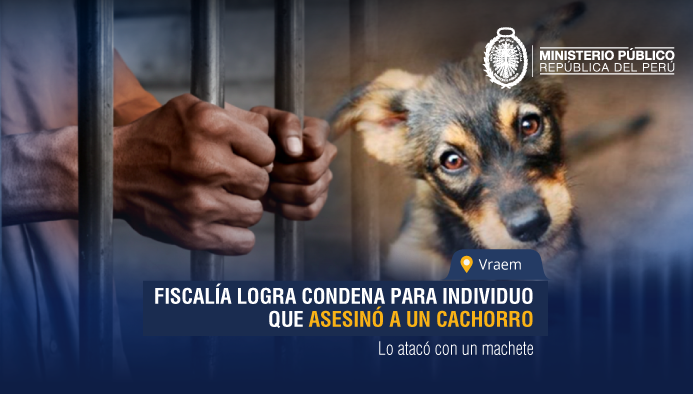 Vraem: Fiscalía logra condena para individuo que asesinó a un cachorro
