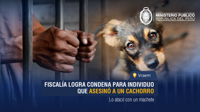 Vraem: Fiscalía logra condena para individuo que asesinó a un cachorro
