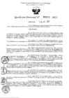 Vista preliminar de documento 5553