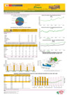 Vista preliminar de documento Boletín de volumen y precio de PAPA - 26/06/2024