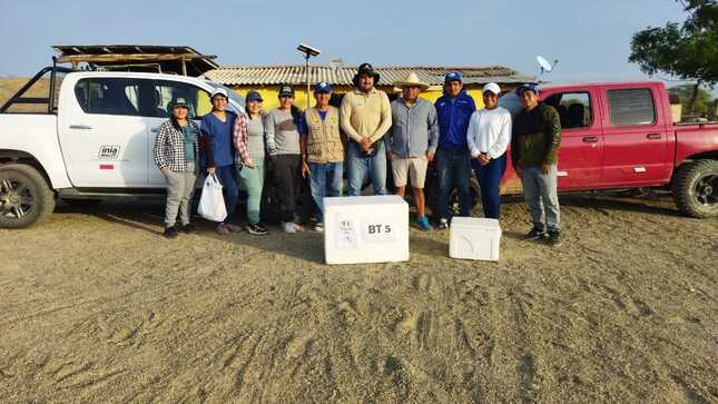 🔰Municipalidad De Sullana Reliza Segunda Campaña De Vacunación De Ganado Caprino En Caseríos Del Distrito De Marcavelica
Con el objetivo de inmunizar a más de 4 mil cabezas de ganado caprino la municipalidad de Sullana realizó la segunda campaña de vacunación de ganado caprino en las zonas GANADERAS del distrito de Marcavelica. Esta campaña se realizó los días 13, 14 y 15 de mayo en los caseríos de La Víbora, Cañas, Chapetones, Bellavista, entre otros del distrito de Marcavelica.
Esta campaña se realizó en alianza con la Municipalidad Distrital de Marcavelica, Instituto Nacional de Innovación Agraria (INIA), SENASA, Dirección Regional de Agricultura a través de la Agencia Agraria del Chira y el PIP logrando inmunizar a más de 4 mil cabezas de ganado caprino con la aplicación de la Vacuna BT5, superando la meta propuesta por el alcalde Marlem Mogollón.
La subgerente de Gestión Productiva Urbano y Rural, Ing. Luz Marina Calle Ortega indicó que esta segunda campaña se realiza en el marco de las actividades programadas por la mesa técnica de ganado caprino. “Gracias a las gestiones realizadas por el alcalde Marlem Mogollón y al buen trabajo de la mesa técnica de ganado caprino se logró obtener la vacuna BT5 que se usan para la prevención del carbunclo sintomático, también llamado pierna negra. Esta campaña ha beneficiado a un total de 30 productores de ganado caprino de los caseríos de Marcavelica, ellos podrán obtener su certificado de vacunación para poder comercializar, acceder a créditos, así como tener un ganado libre de enfermedades”
El objetivo de estas campañas es mejorar la calidad del ganado caprino para que los productores tengan mejores productos y el precio del mercado mejore para beneficio de sus familias. Finalmente, la subgerente indicó que las campañas de vacunación continuarán en los próximos meses previa programación de la mesa técnica de ganado caprino.
