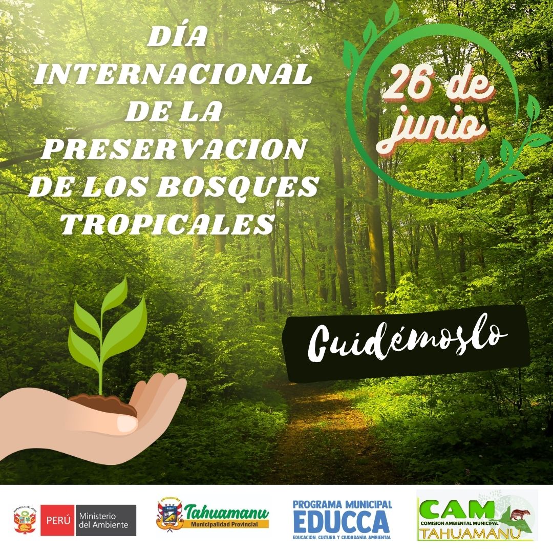 DÍA INTERNACIONAL DE LOS BOSQUES TROPICALES 2024: ALBERGAN MÁS DEL 50% DE LAS ESPECIES DE FLORA Y FAUNA DEL PLANETA... ¡CUIDEMOSLO!