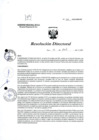 Vista preliminar de documento R.D. N° 313-2024