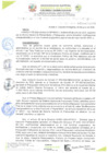 Vista preliminar de documento RESOLUCIÓN DE GERENCIA N° 0115