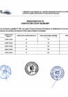 Vista preliminar de documento RESULTADOS FINALES 