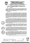 Vista preliminar de documento RGR0264-2024-GRI