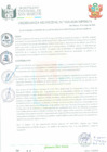 Vista preliminar de documento Ordenanza Municipal Nº 010-2024-MPSM-A