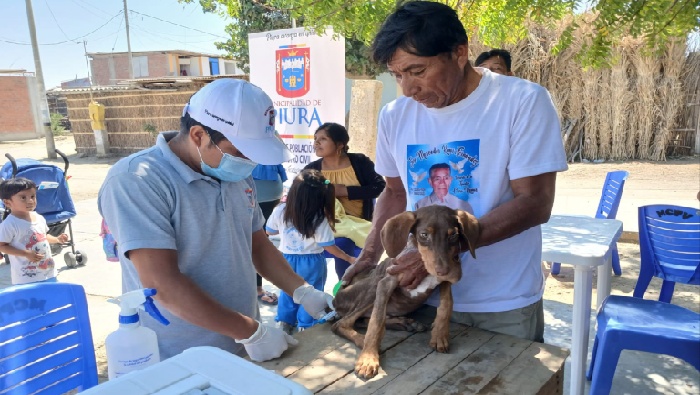 Atención veterinaria